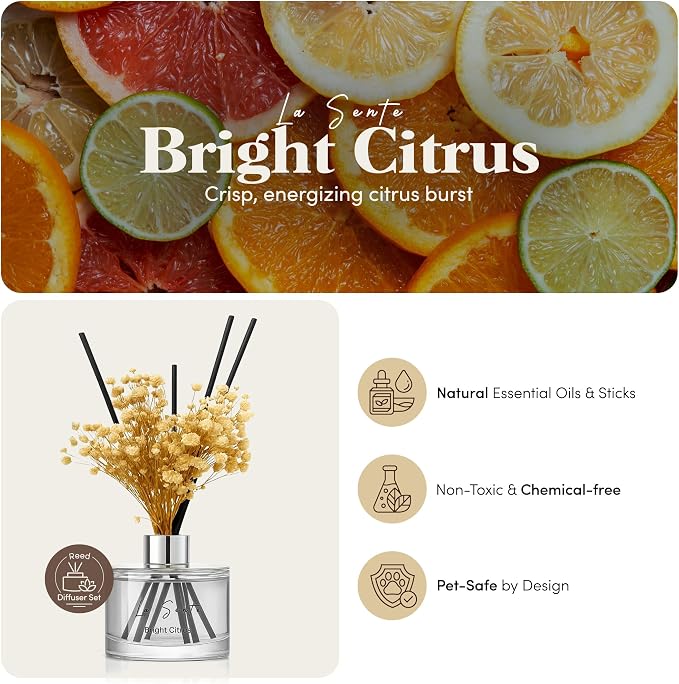 Bright Citrus Reed Diffuser Set for Home & Office - 6.7oz Natural Essential Oil Fragrance with Glass Bottle, Black Rattan Sticks & Preserved Flowers, Long Lasting Scent