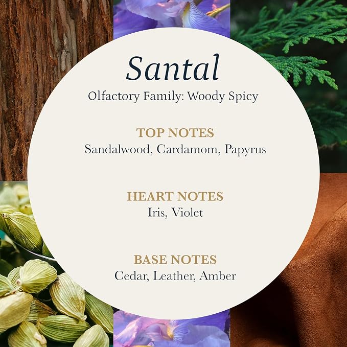PuroSentido Santal Diffuser Oil – Luxury Hotel-Inspired Aroma with Sandalwood, Violet & Amber – Premium Fragrance Oil for Aromatherapy – Diffuser and Humidifier Compatible (500 ml/16 Fl Oz)