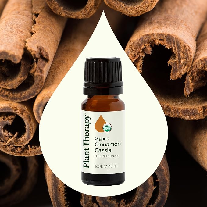 Plant Therapy USDA Certified Organic Cinnamon Cassia Essential Oil 10 mL (1/3 oz) 100% Pure, Undiluted, Cozy Aroma, Soothes Sore Muscle