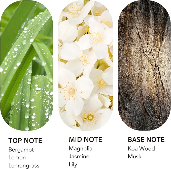 Luxury Hotel Scent 24K Aura 200ml/6.76Fl oz Diffuser Oil Waterless Essential Aromatherapy for Cold Air & Car Diffusers – Long Lasting Refill for Large Room & Home - Signature Lemongrass