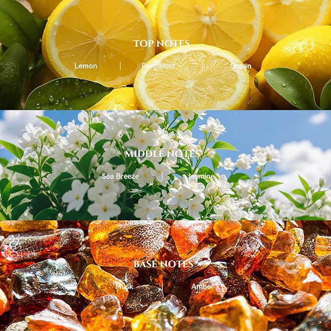 AROMADD AROMADD Bergamot Coastal Hotel Diffuser Oil Inspired by Luxury Hotel Collection Scent, Premium Fragrance Oil for Waterless Diffusers, Cold Air & HVAC Diffusers, Long-Lasting,3.38 fl oz(100 mL)