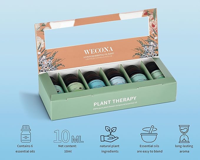 Focus Essential Oil Set – 6x10ml Essential Oils for Diffusers Aromatherapy, Aromatherapy Oil Blends – Huile Essentielle Pour Diffuseur, Fragrance Oils for Candle Making