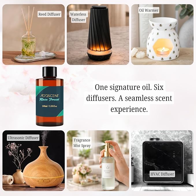 Rain Forest Fragrance Oil 100ml for Diffuser, Nature-Inspired Fresh Aroma for Bedroom Living Office Spa, Layered Citrus, Floral, and Woody Notes for Light, Airy, and Uplifting Ambience