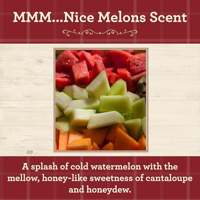 Our Own Candle Company, Nice Melons Scented Mason Jar Candle, 100 Hour Burn Time, Made in The USA - 13 Ounces