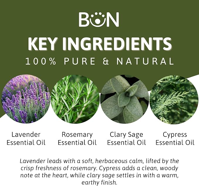 Best of Nature Memory Essential Oil Blend – 100% Pure for Diffuser, Aromatherapy & Focus – Herbal, Refreshing Scent with Lavender, Rosemary, Cypress & Clary Sage