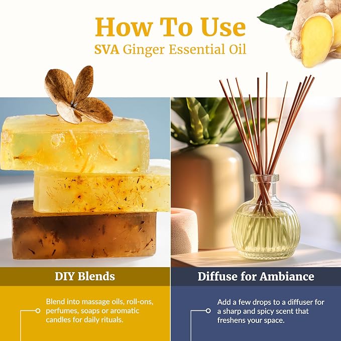 SVA Ginger Essential Oil 1 Fl Oz – for Diffuser, Skin & Hair Care – Ideal for Massage & DIY Blends - with Dropper