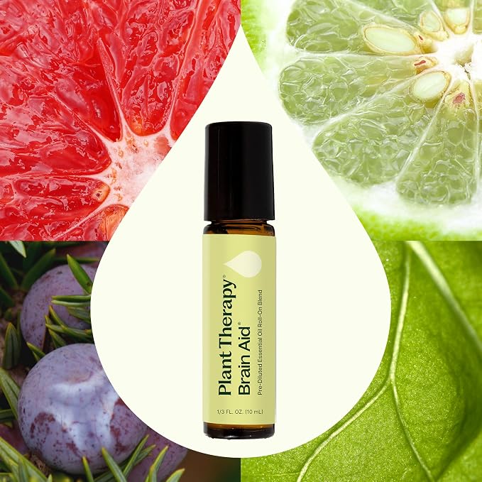 Plant Therapy Brain Aid Essential Oil Blend Pre-Diluted 10 mL (1/3 oz), 100% Pure, Aromatherapy for Focus & Attention