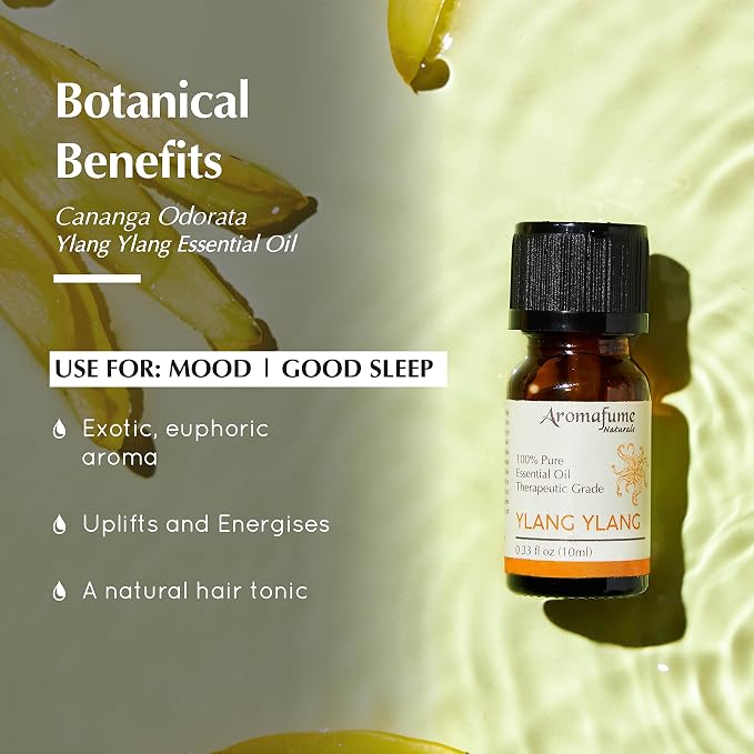 AROMAFUME Ylang Ylang Essential Oil - 100% Natural, Therapeutic Grade Essential Oils - Pure, Tropical Aromatherapy Oil for Home Diffusers - Gifts for Her - 10ml