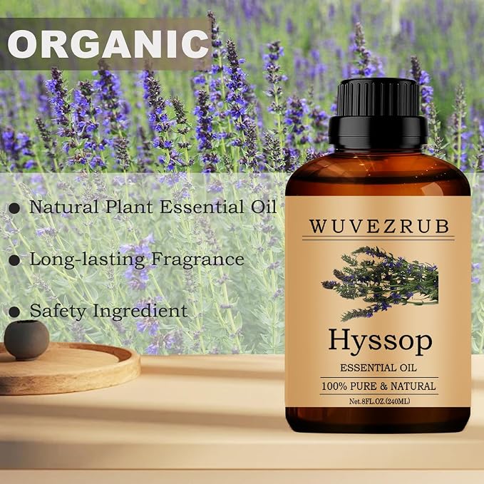 Hyssop Essential Oils, 240ML Pure and Natural Essential Oil for Aromatherapy Diffuser - Hyssop /8 Fl Oz
