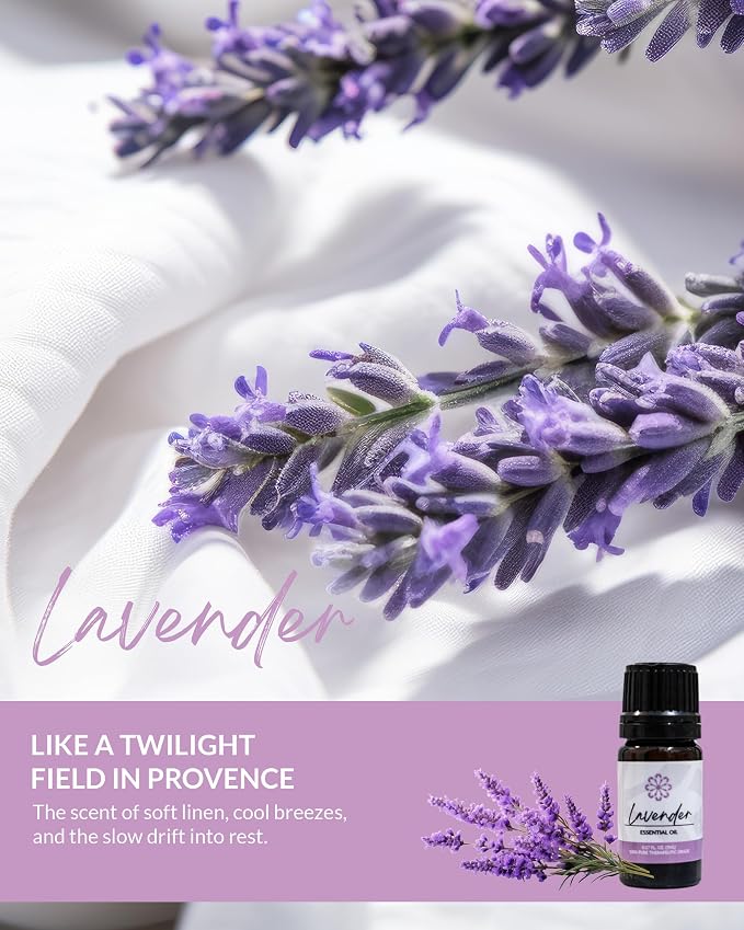 Essence Lavender Essential Oil, 5 ml | Aromatherapy Oil for Diffusers & Personal Use | Natural Fragrance for Relaxation, Clarity & Wellness | Made in USA | Floral Scent
