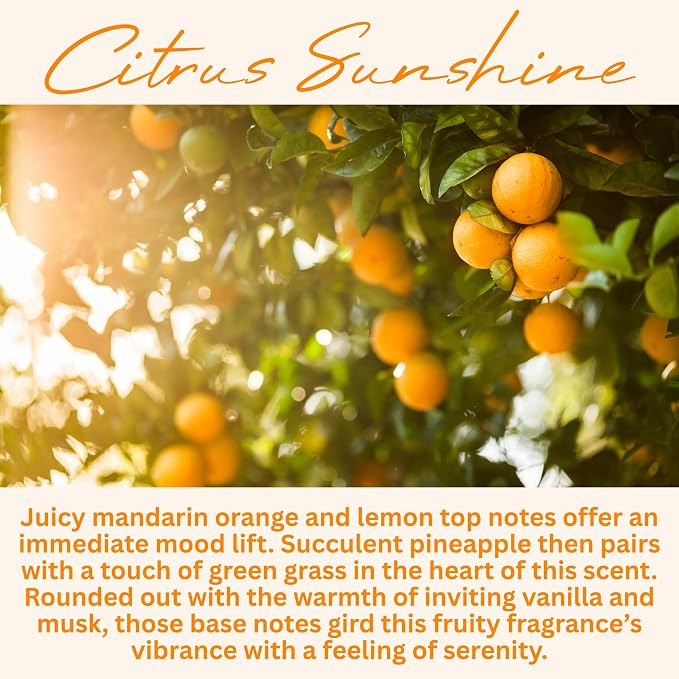 Wickless Citrus Scented Candles for Candle Warmer Lamp, Many Scents to Choose, 100% Non-Toxic Soy Wax, Candle Melts for Warming Plate, Handmade in The USA (Citrus Sunshine)