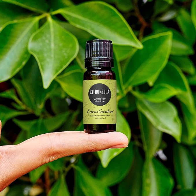 Edens Garden Citronella Essential Oil- 100% Pure Premium Grade, Undiluted, Natural, Therapeutic, Aromatherapy, The Best for Diffuser, Skin, Candle, Kid Safe 118 ml (4 fl oz)
