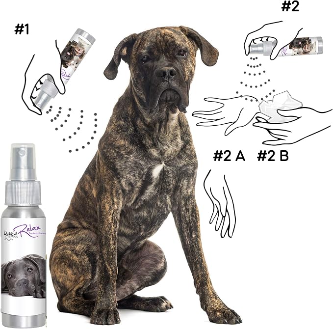 The Blissful Dog Cane Corso Relax Dog Aromatherapy Spray for Your Dog's Anxiety