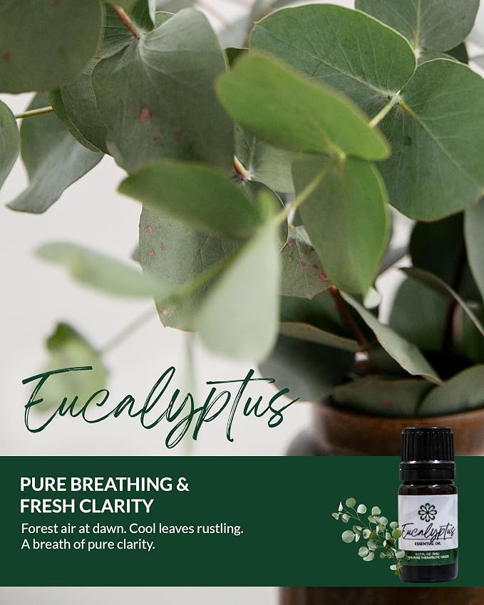 Essence Pearl Travel Case | Eucalyptus Essential Oil | Aromatherapy Nasal Diffuser & Essential Oil Carrying Case | Refreshing Eucalyptus Scent | Travel-Friendly Kit | White Pod