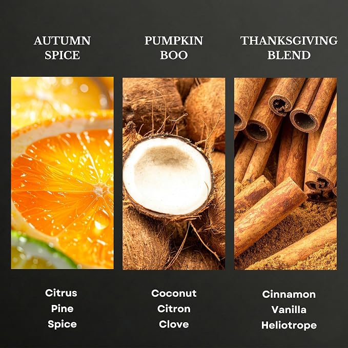 Scentia Pumpkin Vanilla Bakery Aromatherapy Diffuser Oil Collection – Essential Oil Blend for Candles, Home & DIY Cozy Scents 3x20ml Discovery Set