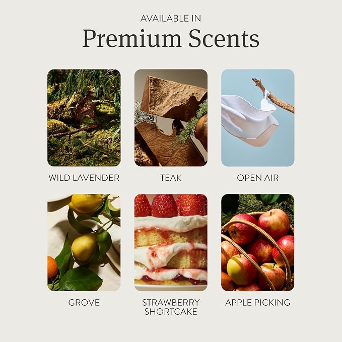 Drift Home Scent Diffuser Starter Kit in Forest Walk - Adjustable and Long Lasting Diffuser Aroma - Clean Ingredients, Pet Safe