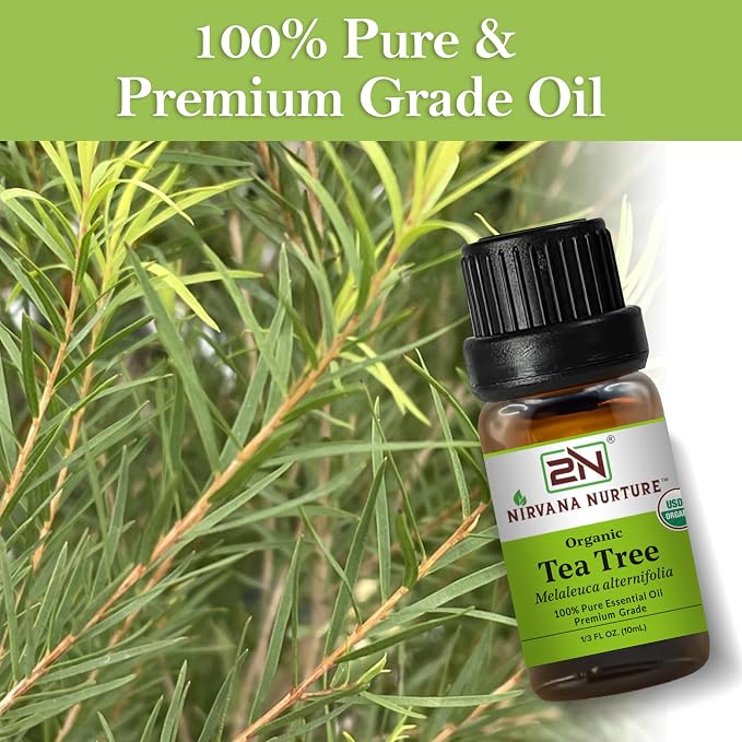 Tea Tree Essential Oil, USDA Certified Organic, 100% Pure Undiluted, Aromatherapy Oil for Diffuser, Hair & Skin Care