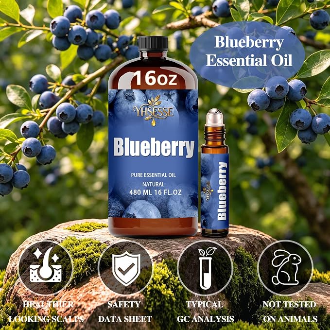 Blueberry Essential Oil, Blueberry Oil 16 Fl Oz 480ml for Diffuser Yoga Soap & Candle Making – with 0.33 Oz Roller Ball & Funnel YHSESSE Essential Oils