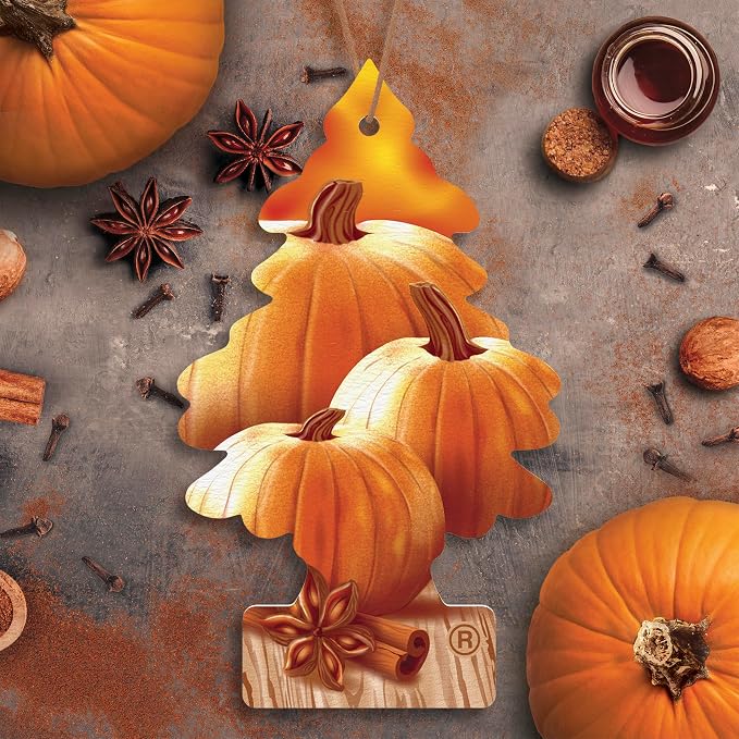 LITTLE TREES Car Air Freshener | Hanging Tree Provides Long Lasting Scent for Auto and Home | Warm Pumpkin Spice, 24 Air Fresheners