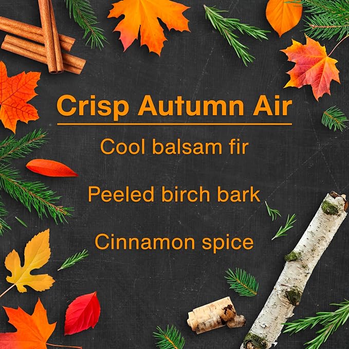 LITTLE TREES Car Air Freshener | Hanging Tree Provides Long Lasting Scent for Auto and Home | Crisp Autumn Air, 24 Air Fresheners