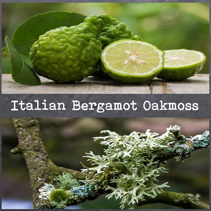 100% Soy, Highly Scented, Hand Poured Soy Candle (Italian Bergamot Oakmoss)
