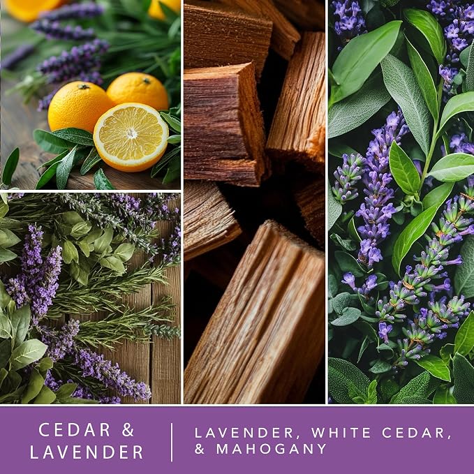 ScentSationals Water-Based Reed Diffuser - Cedar & Lavender - 5 FL OZ Aromatherapy Reed Diffuser