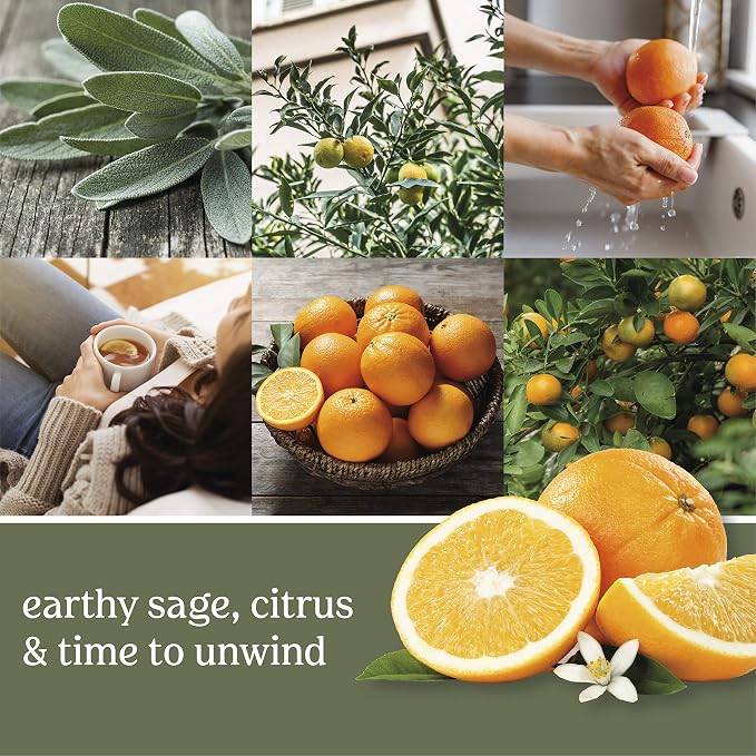 Yankee Candle Scented Wax Melts for Wax Warmers, Candle-Wax Melts Refills, Long Lasting Home Fragrance, Sage & Citrus, 6 Count (Pack of 36)