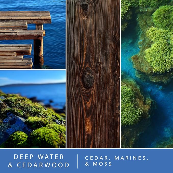 ScentSationals Water-Based Reed Diffuser - Deep Water & Cedarwood - 5 FL OZ Aromatherapy Reed Diffuser