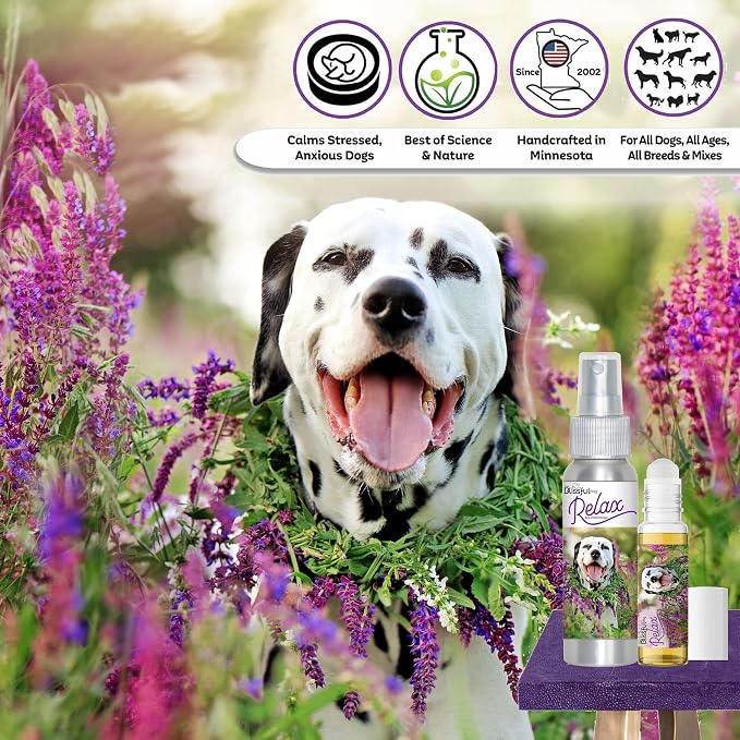The Blissful Dog Dalmatian Relax Roll-ON Aromatherapy for Dogs - Anxiety Relief for Dogs