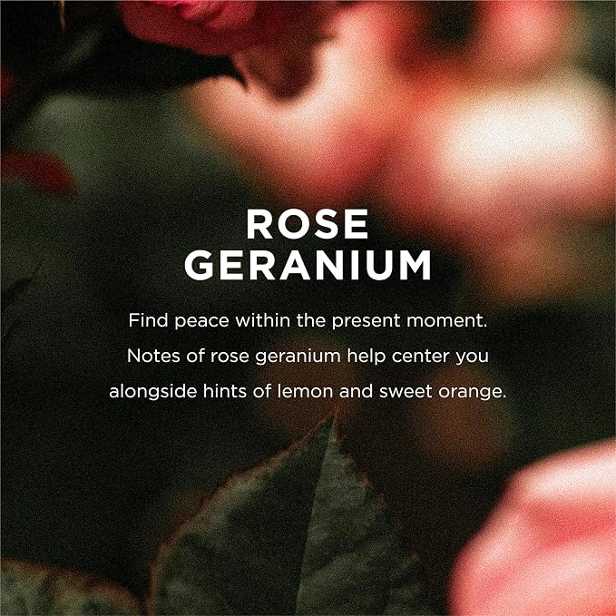Eo, Bubble Bath Rose Geranium, 12 Fl Oz