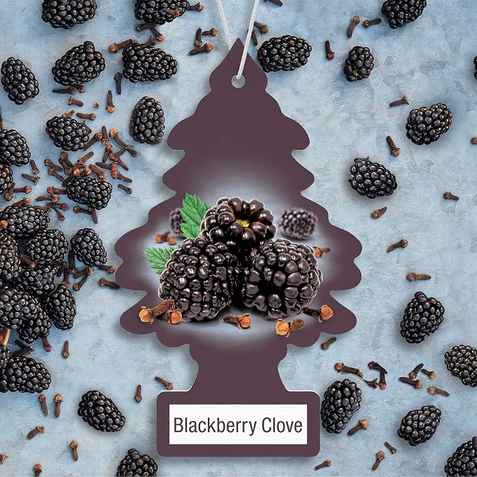LITTLE TREES Car Air Freshener | Hanging Tree Provides Long Lasting Scent for Auto and Home | 24 Air Fresheners |Blackberry Clove