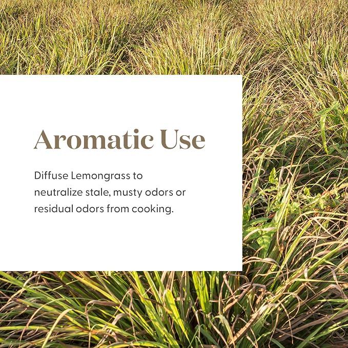 Young Living Lemongrass Essential Oil | 15 ml | Fresh Citrus Aroma for Diffusers, Massage & Aromatherapy | Cymbopogon Flexuosus Botanical Oil | Bright Lemon Scent | Seed to Seal Quality