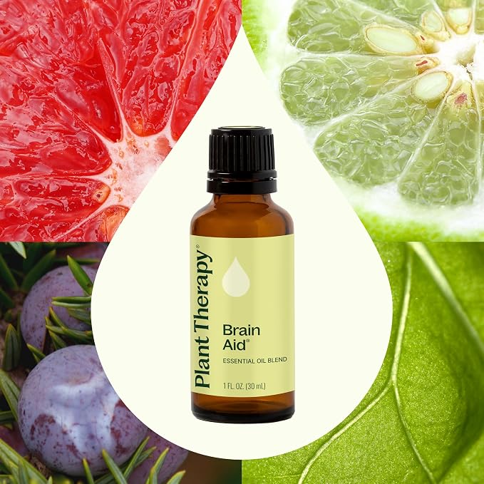 Plant Therapy Brain Aid Essential Oil Blend 30 mL (1 oz), 100% Pure & Undiluted, Aromatherapy for Focus, Concentration & Mental Clarity