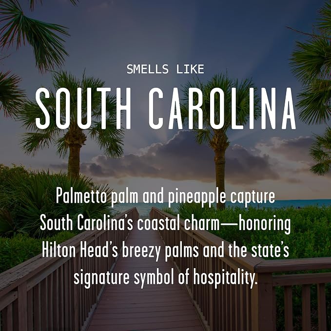 South Carolina Gifts, South Carolina Decor for Home - 'There's No Place Like South Carolina Candle, w/Palmetto Palm & Pineapple I South Carolina Souvenirs State Gifts I 9oz Jar, 50Hr Burn, USA Made