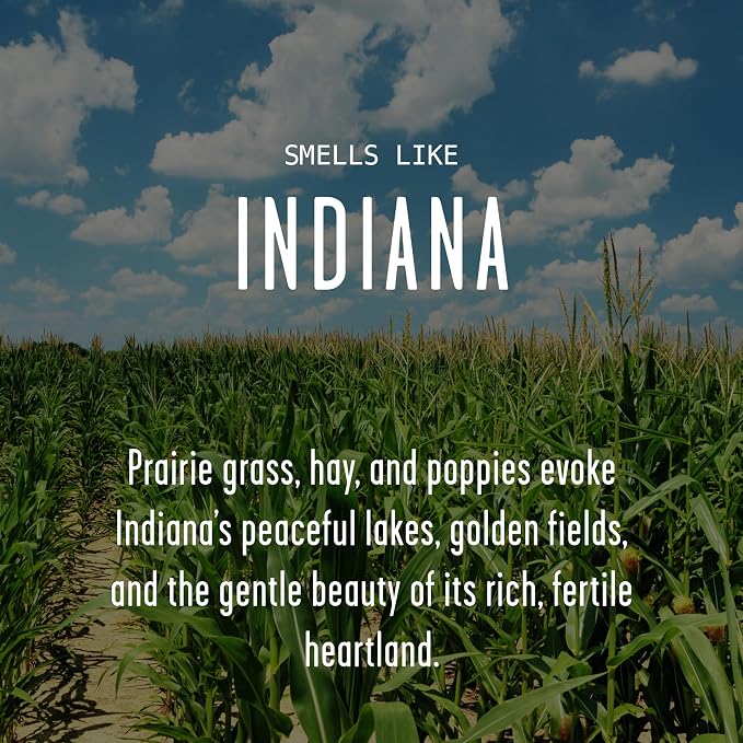 Indiana Gifts, Indiana Decor for Home - 'There's No Place Like Indiana Candle, w/Prarie Grass, Eucalyptus, Hay & Poppies I Indiana Souvenirs I Indiana State Gifts I 9oz Jar, 50Hr Burn, USA Made