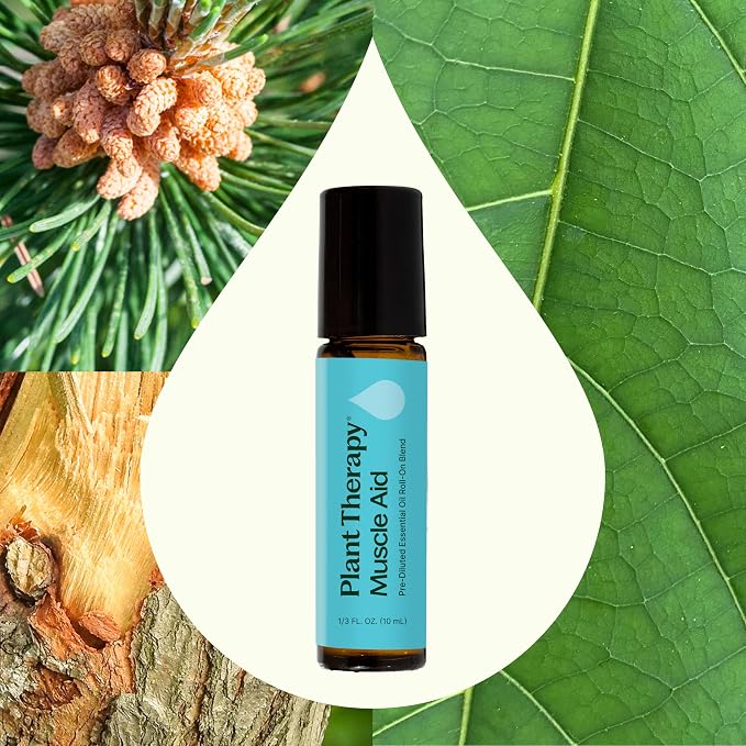 Plant Therapy Muscle Aid Essential Oil Blend Roll-On 10 mL (⅓ oz) Pre-Diluted, Cooling Muscle Relief