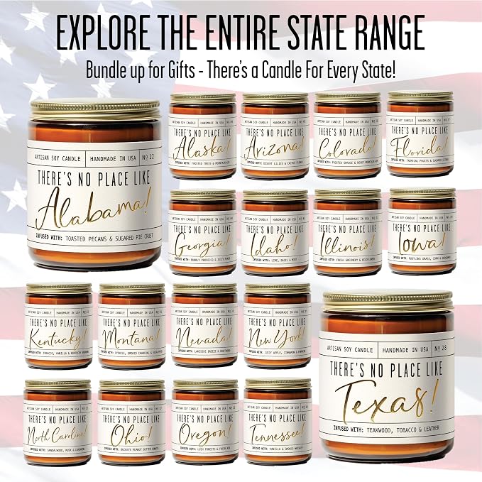 Illinois Gifts, Illinois Decor for Home - 'There's No Place Like Illinois Candle, w/Greenery, Ozone & Wildflowers I Illinois Souvenirs I Illinois State Gifts I 9oz Jar, 50Hr Burn, USA Made