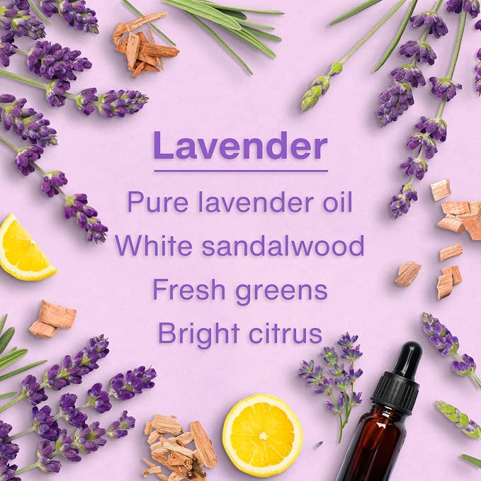 LITTLE TREES Car Air Freshener | Hanging Tree Provides Long Lasting Scent for Auto and Home | 24 Air Fresheners |Lavender