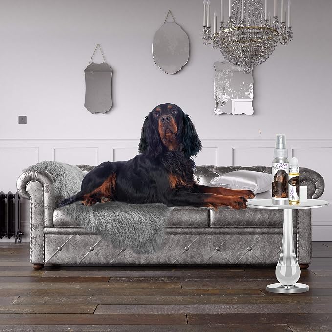 The Blissful Dog Gordon Setter Relax Dog Aromatherapy, 2.67-Ounce Spray