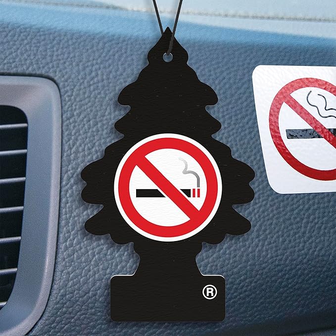 LITTLE TREES Car Air Freshener | Hanging Tree Provides Long Lasting Scent for Auto and Home | 24 Air Fresheners |No Smoking