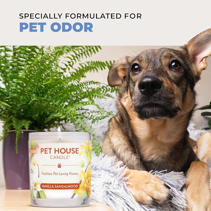 Pet House Pet Friendly Candle Plant Based Scented Candle Clean Burning, Long Lasting for Home, Sugar Cookies 2 Pack