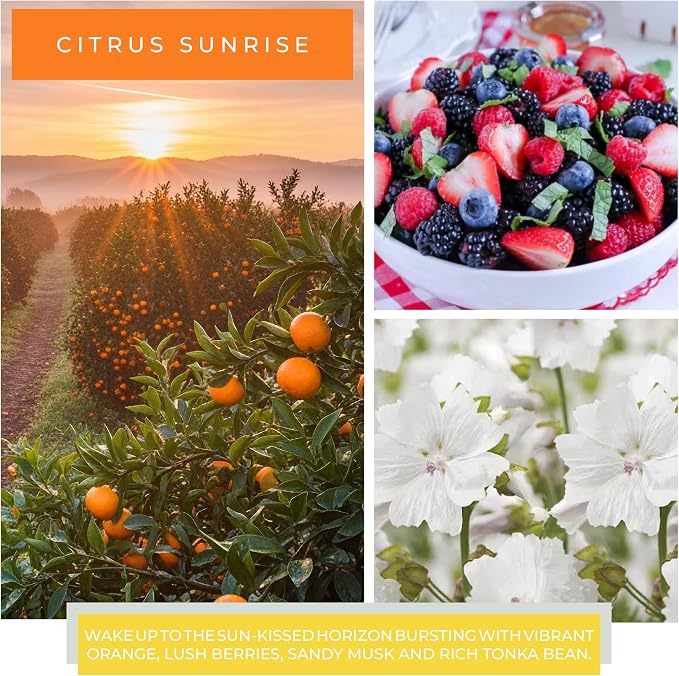 A Cheerful Giver — Citrus Sunrise - 34oz Papa Scented Candle Jar with Lid - Keepers of the Light - 155 Hours of Burn Time, Gift for Women, Yellow