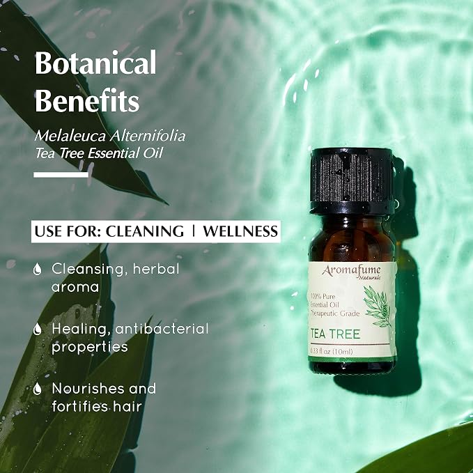 AROMAFUME Tea Tree Essential Oil - 100% Natural, Therapeutic Grade Essential Oils - Pure, Aromatherapy Oil for Home Diffusers - Gifts for Her 10ml