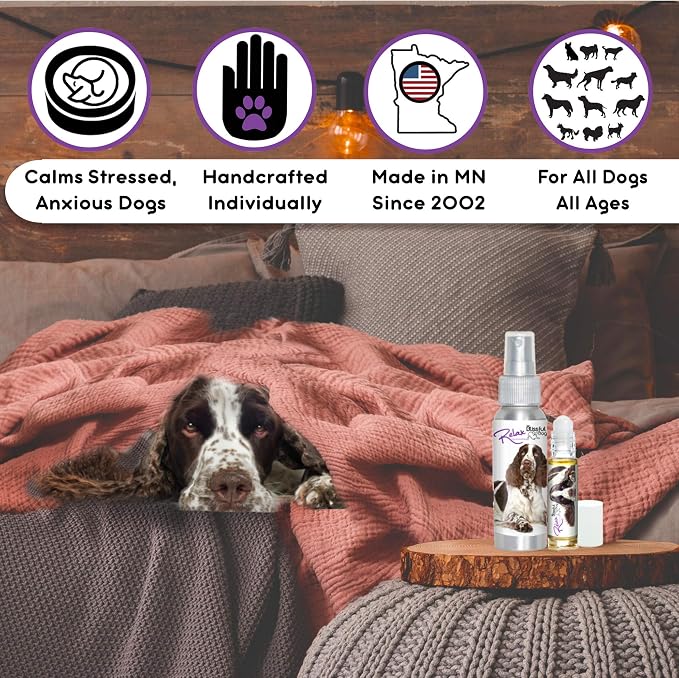 The Blissful Dog Springer Spaniel Relax Roll-ON Aromatherapy for Dogs - Anxiety Relief for Dogs