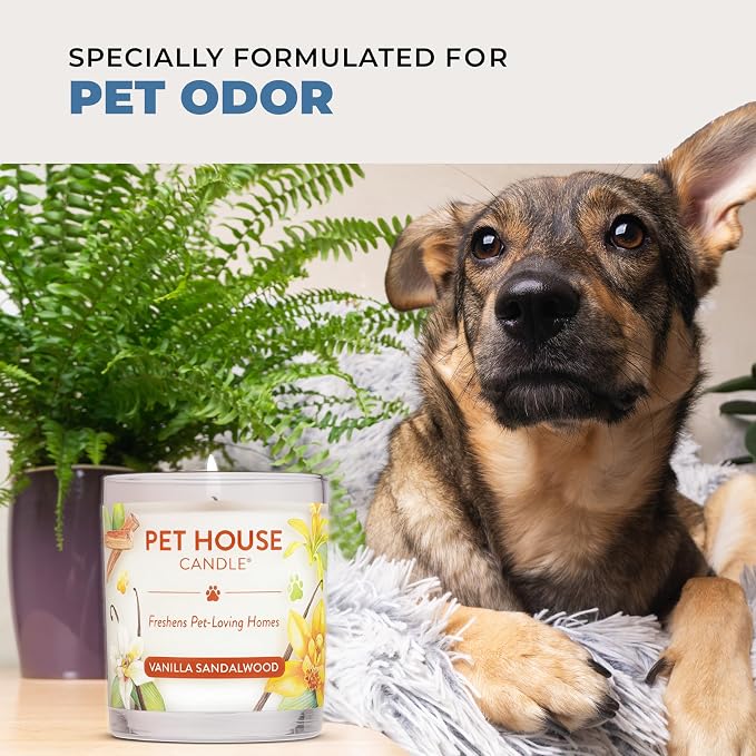 One Fur All Pet House Fall Candles, Long Lasting, Clean Burning, Soy Wax Scented Candles for Pet Odor, Mandarin Sage