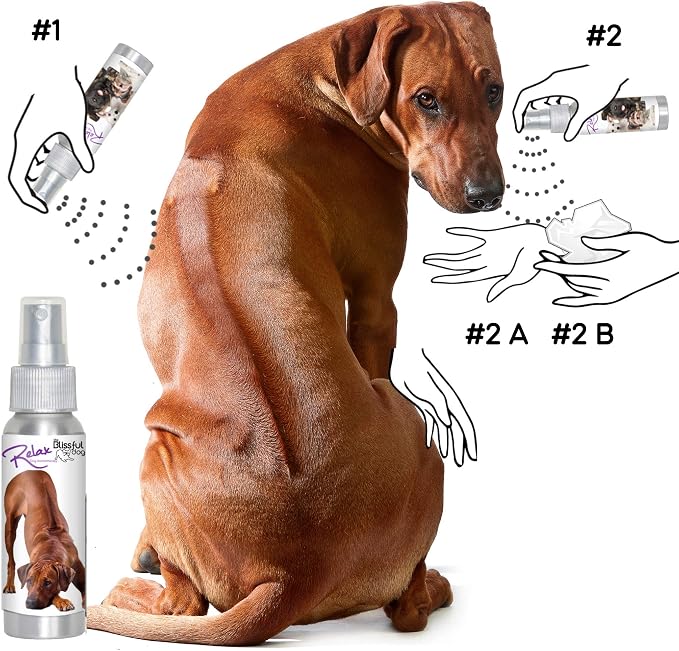 The Blissful Dog Phodesian Ridgeback Relax Dog Aromatherapy Spray for Your Dog's Anxiety