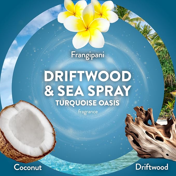 Air Wick Plug-In Scented Oil Refills, 4 Count, Driftwood & Sea Spray, Air Freshener, Essential Oils