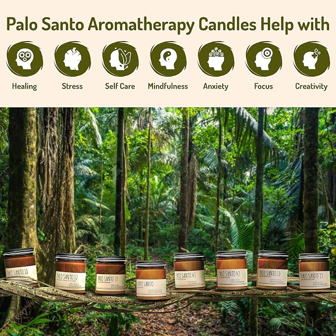 Soy Wax Candle - Palo Santo and Eucalyptus Natural Aromatherapy Smudge Candle, Stress Relief, Chakra Balancing, Meditation, Manifestation and Focus, 9 oz