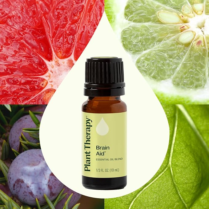 Plant Therapy Brain Aid Essential Oil Blend 10 mL (1/3 oz), 100% Pure & Undiluted, Aromatherapy for Focus, Concentration & Mental Clarity