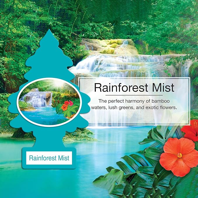 Little Trees Cardboard Hanging Car, Home & Office Air Freshener, Rainforest Mist (Pack of 12)